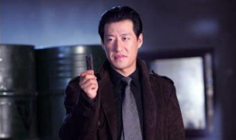 于震主演的电视剧大全,激情燃烧的岁月，正义与爱的交响曲