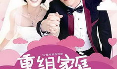 重组家庭电视剧